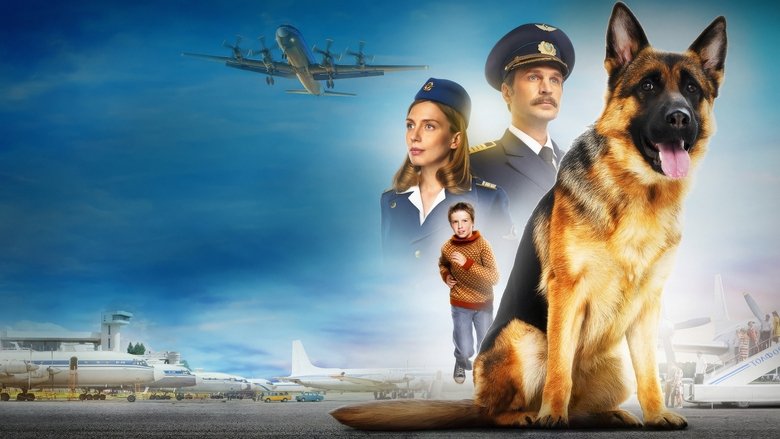 a dog named palma