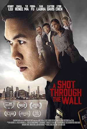 A Shot Through the Wall شلیک از پس دیوار