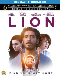 شیر نر Lion
