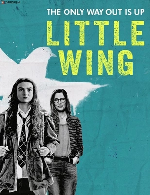 بال کوچک Little Wing 2024