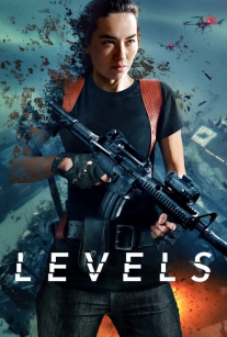 سطوح LEVES