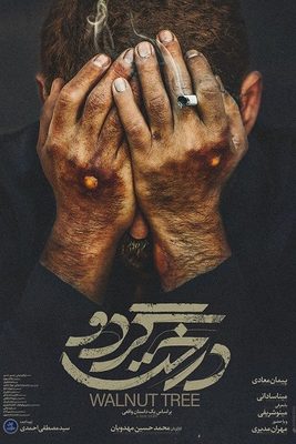 درخت گردو