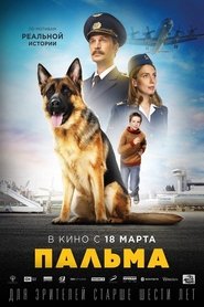 a dog named palma
