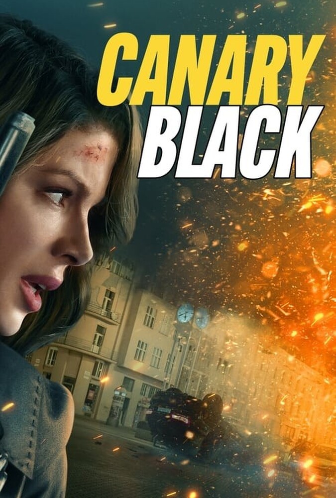 Canary Black | قناری سیاه