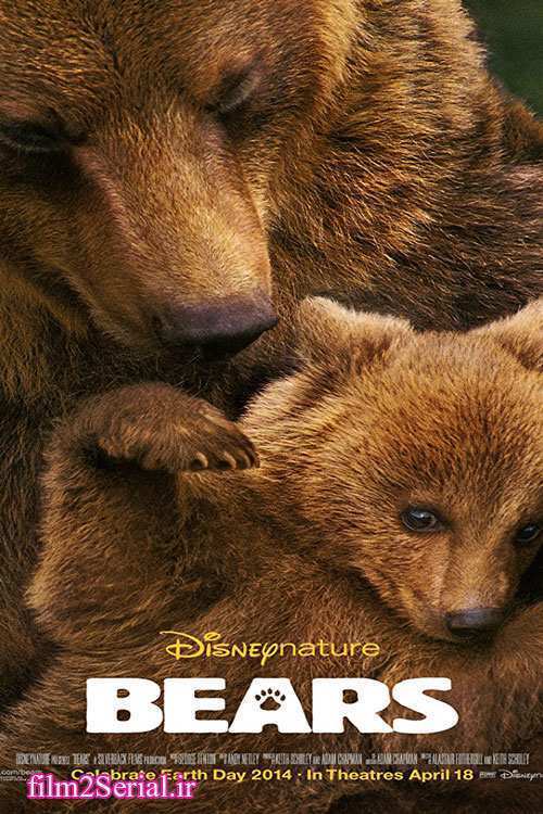 پوستر خرس ها Bears
