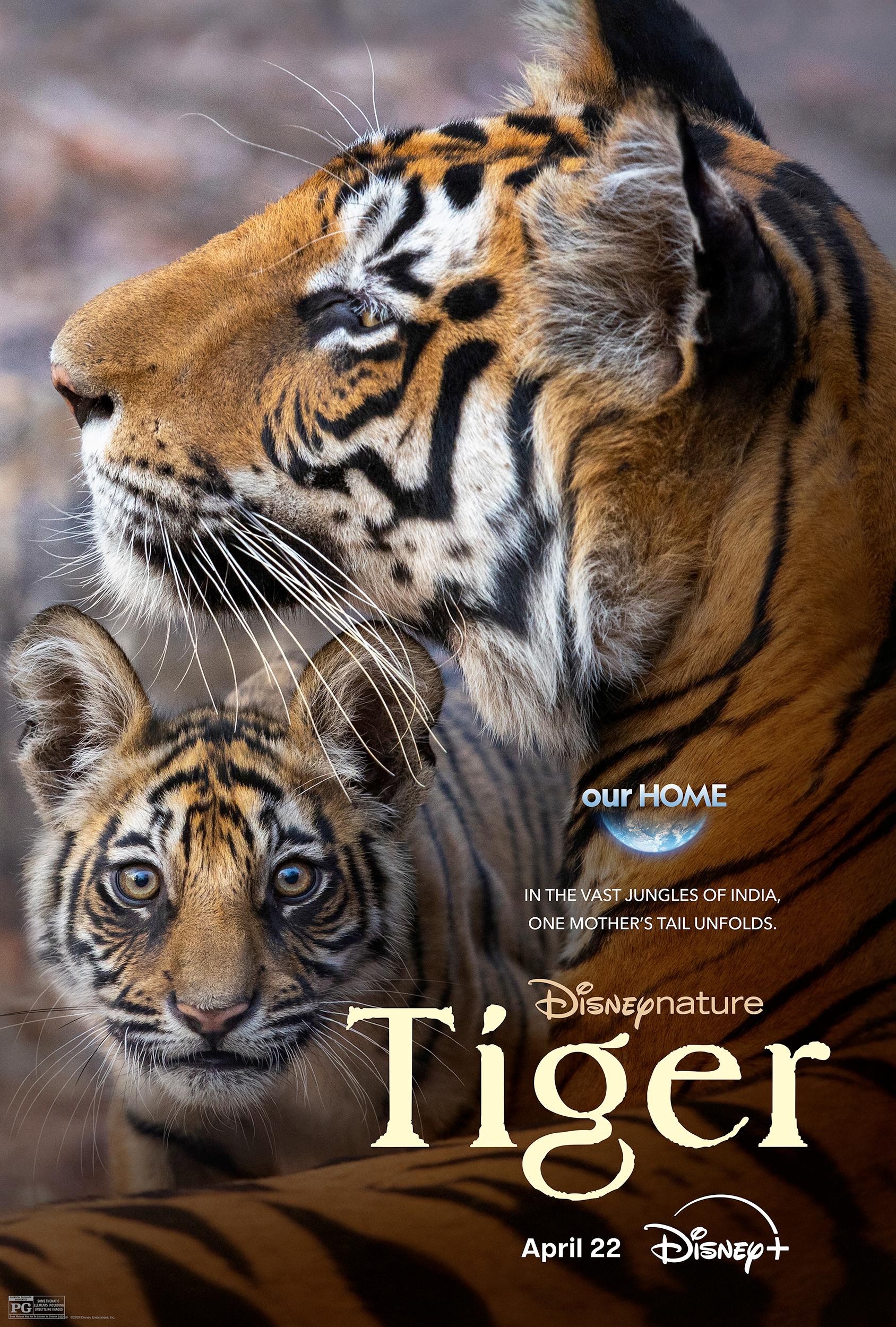 پوستر Tiger 2024 ببر 2024