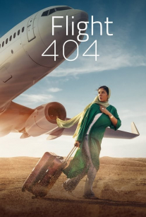 پوستر پرواز 404